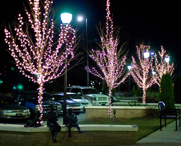 How To Put Up Outdoor Tree Lights Walls Co How To Put Up Outdoor Tree Lights Walls Co